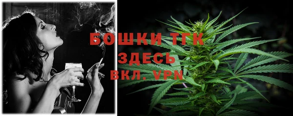 не бодяженный Горно-Алтайск