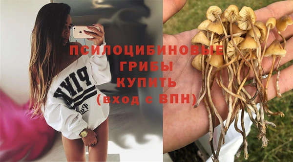 не бодяженный Горно-Алтайск