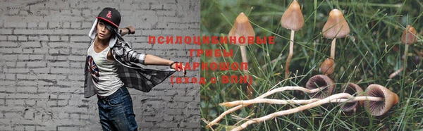 не бодяженный Горно-Алтайск