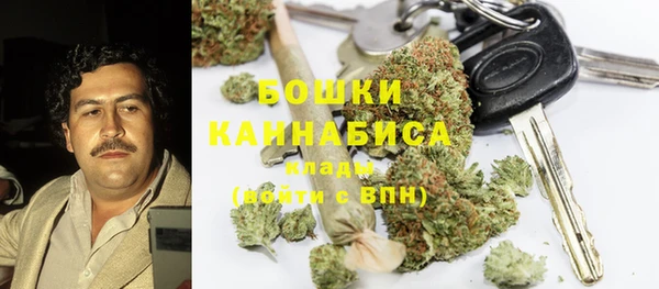 не бодяженный Горно-Алтайск