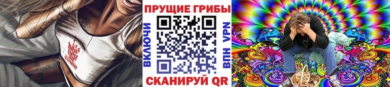 наркота  Альметьевск  Галлюциногенные грибы Magic Shrooms 